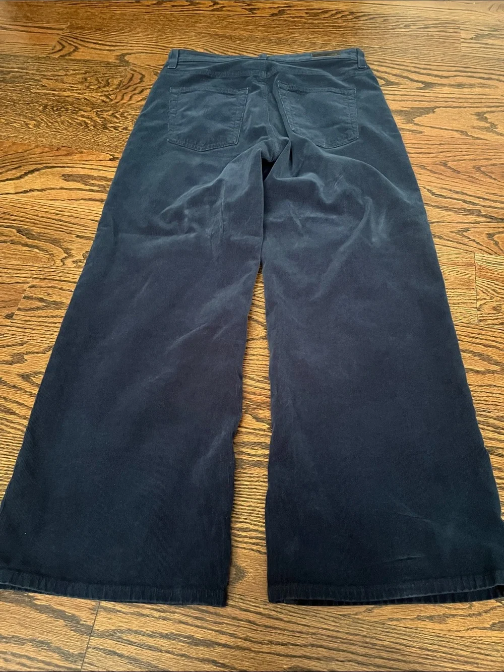 Ag Adriano Goldschmied Saige Wide Leg Crop Corduroy Pant - Picture 7 of 10